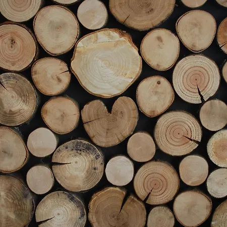 Cocotte La Roulotte *