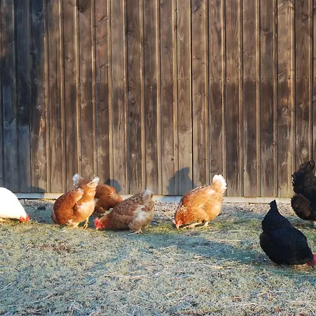 Cocotte La Roulotte Ferienhaus *