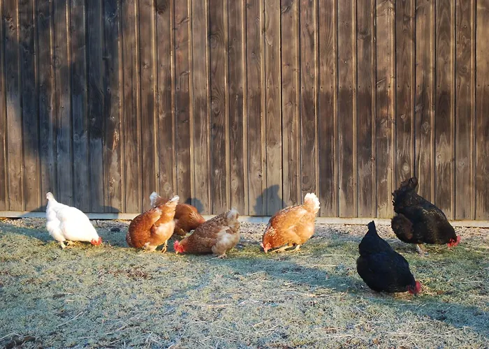Cocotte La Roulotte Hébergement de vacances *
